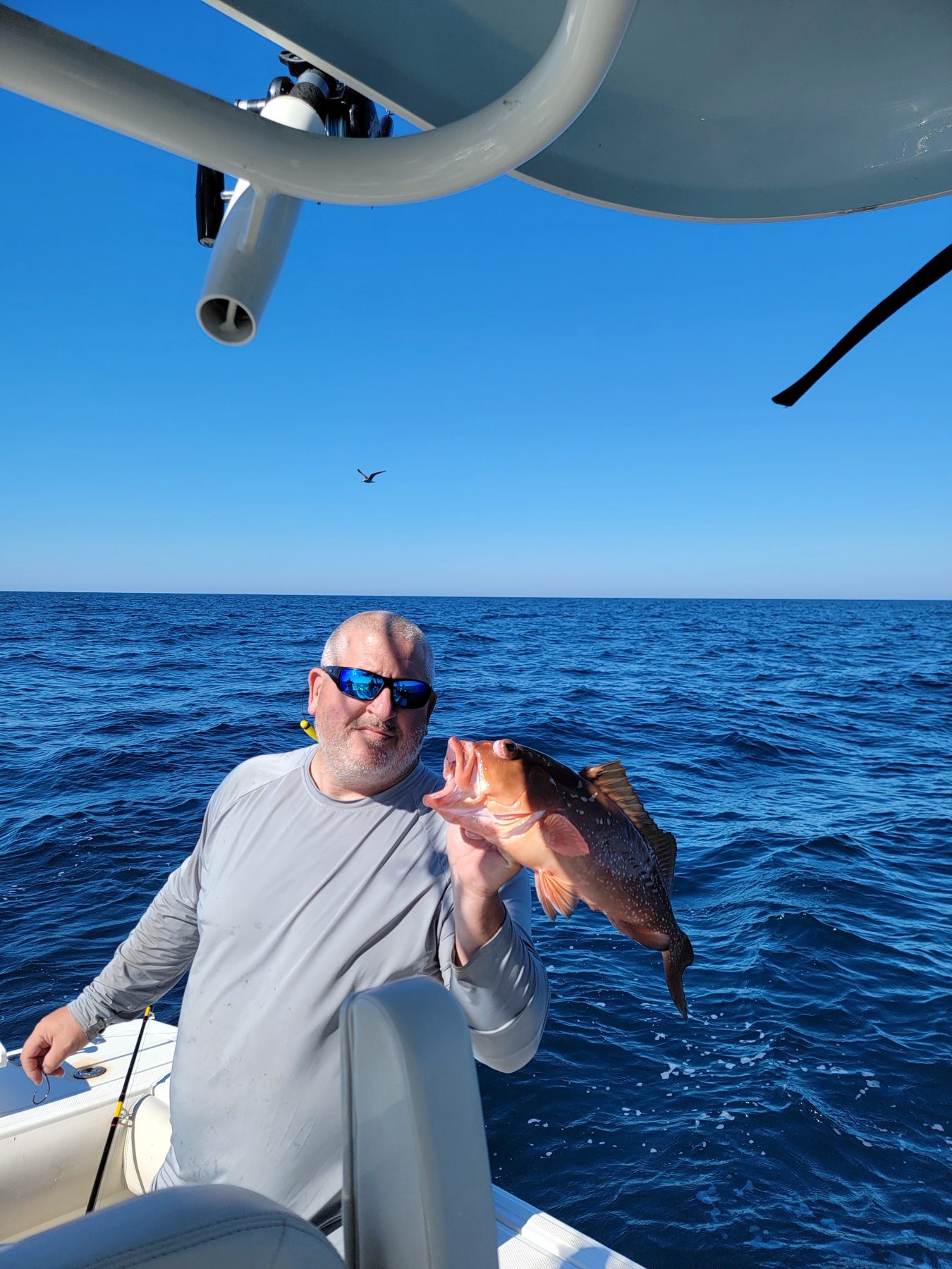 Angler holding a mangrove snapper offshore